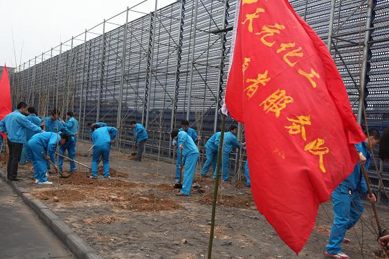 青年自愿者们在植树