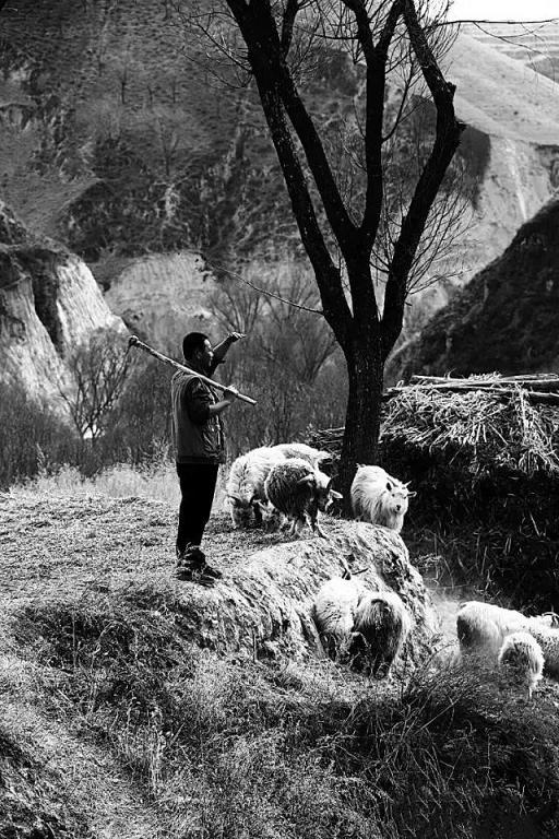 k8凯发(中国)天生赢家·一触即发